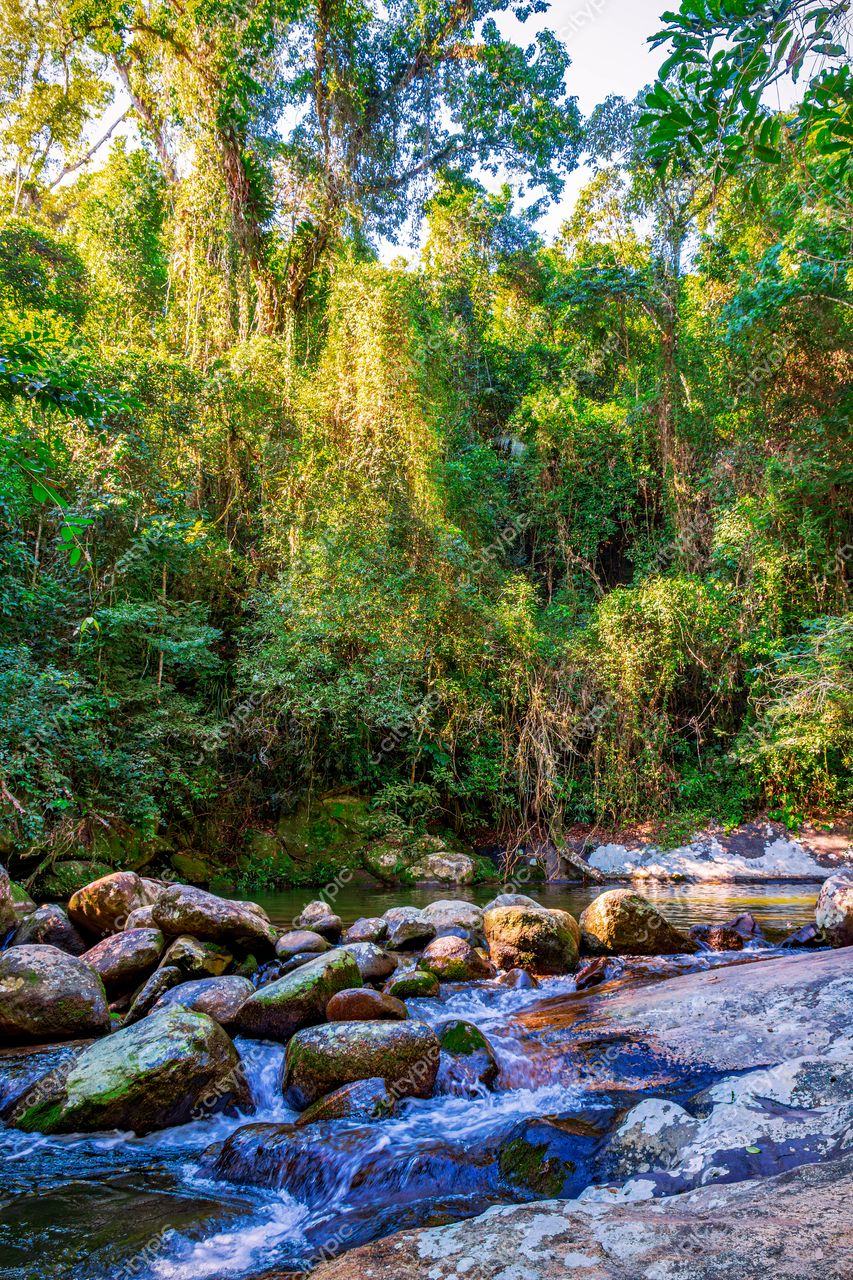 Riacho de águas cristalinas em meio à exuberante vegetação de Ilhabela, São Paulo: um convite à contemplação da natureza