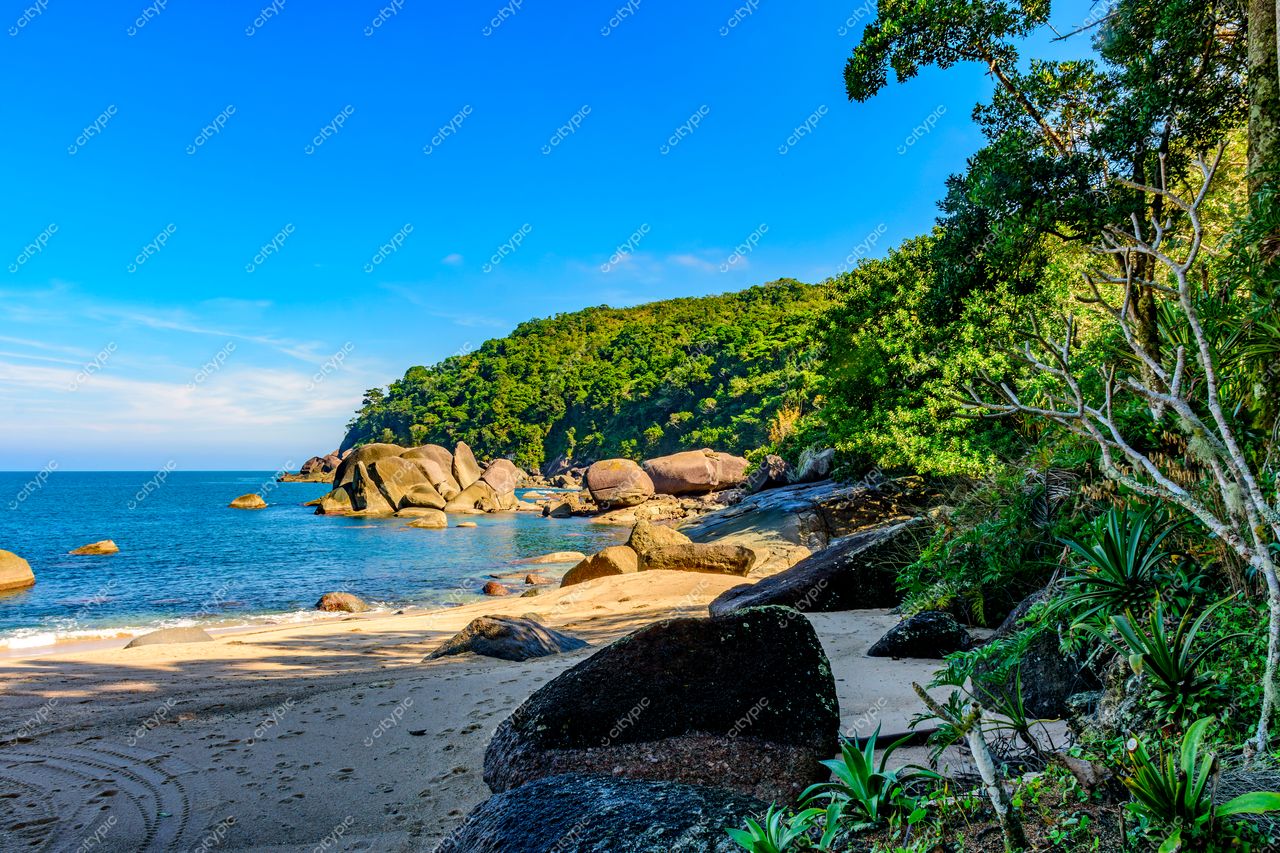 Praia Paradisíaca em Ilhabela, São Paulo: O encontro perfeito entre mar azul e céu ensolarado