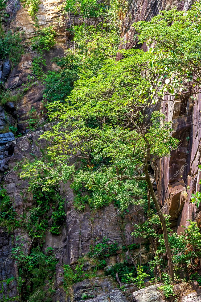 Santana do Riacho, Minas Gerais: Encosta rochosa exuberante e vibrante