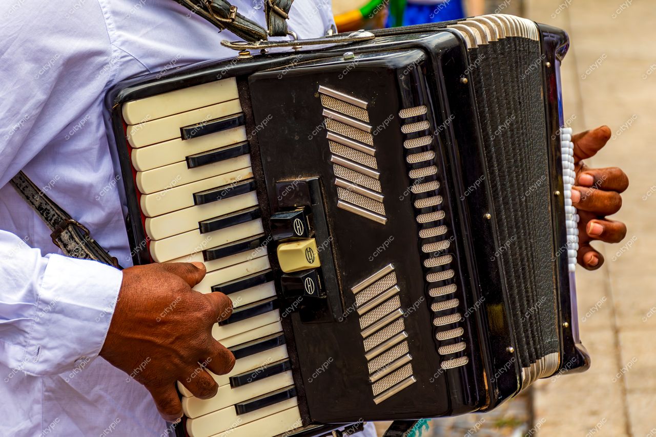 Músico tocando acordeão em Locais Diversos, Belo Horizonte: Celebrando a música popular brasileira