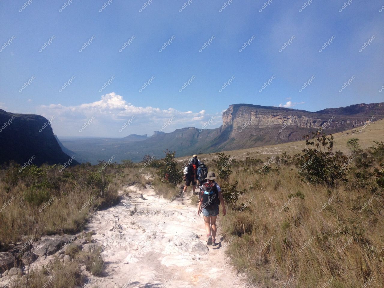 Chapada Diamantina, Bahia, Brasil: Caminhantes exploram trilha exuberante na natureza selvagem