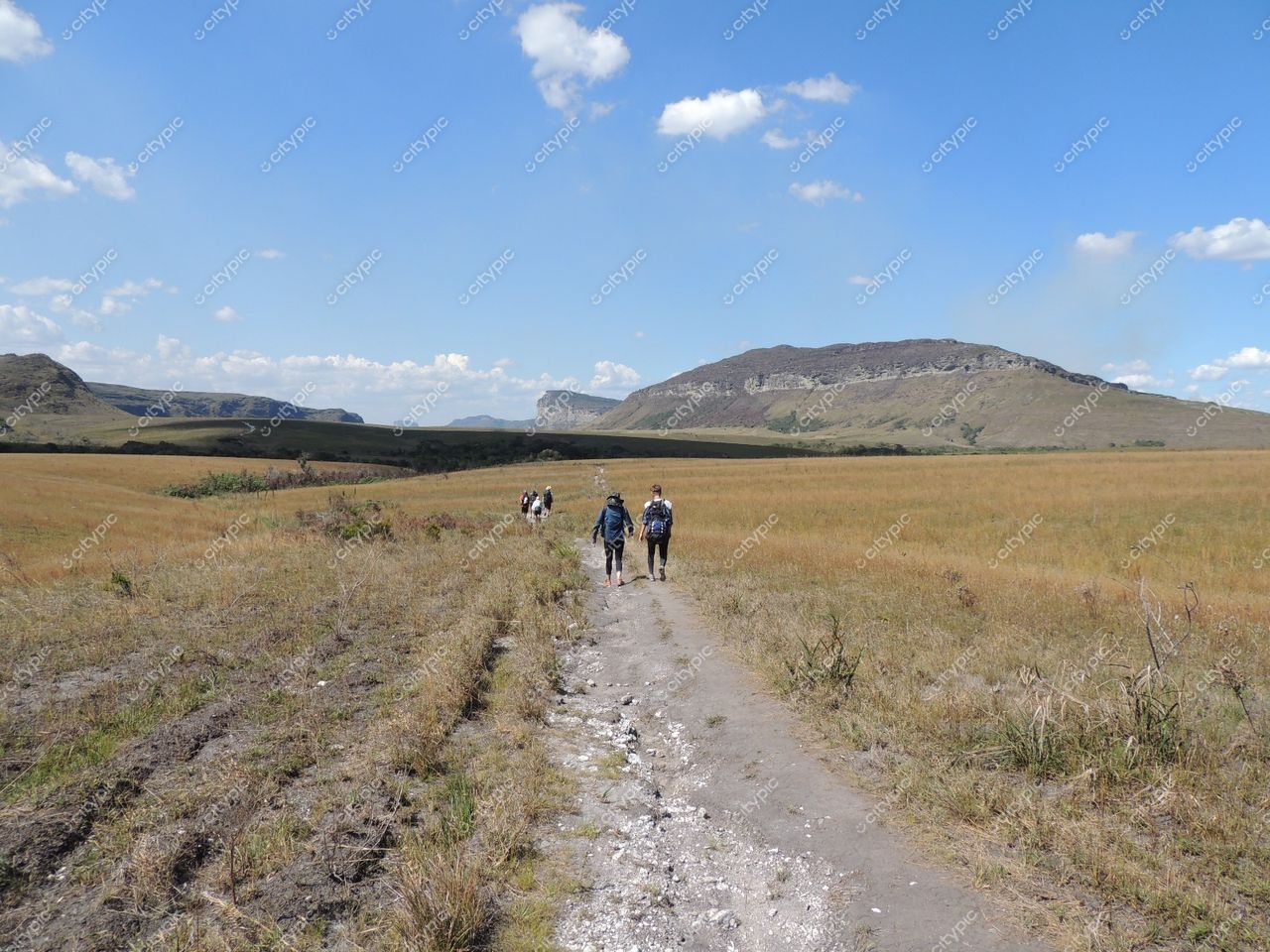 Explorando a beleza rural: uma caminhada pelas colinas e montanhas