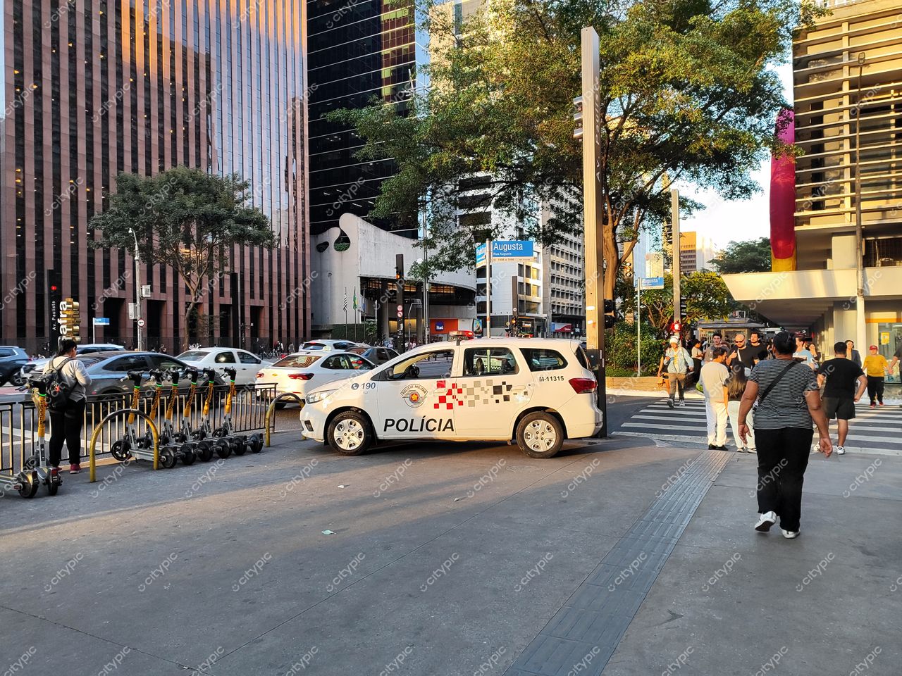 São Paulo, Brasil: Polícia e Mobilidade Urbana na Metrópole Paulista