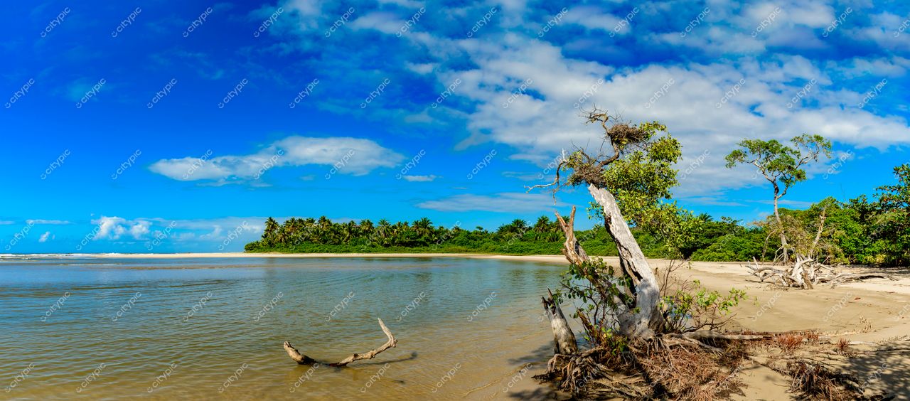 Uruçuca, Bahia: Paisagem Costeira Serena e Exuberante