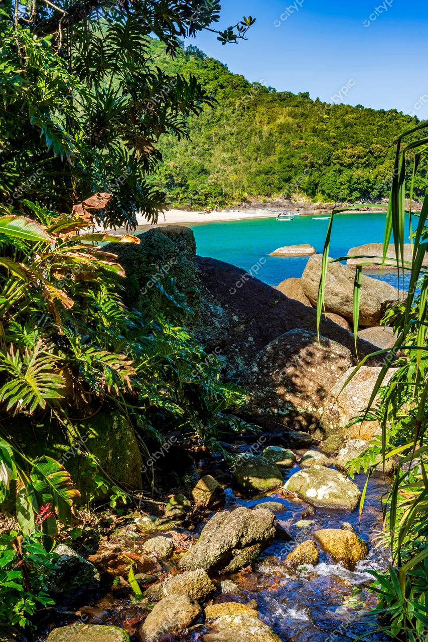 Ilhabela, São Paulo: Cenário sereno de riacho cristalino e praia tranquila