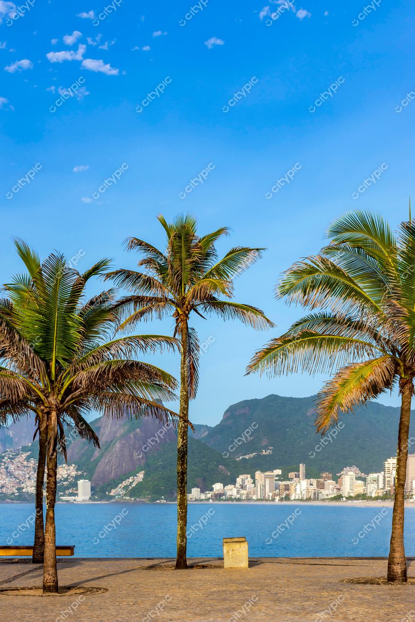 Ipanema, Rio de Janeiro: Cena tropical e relaxante à beira-mar