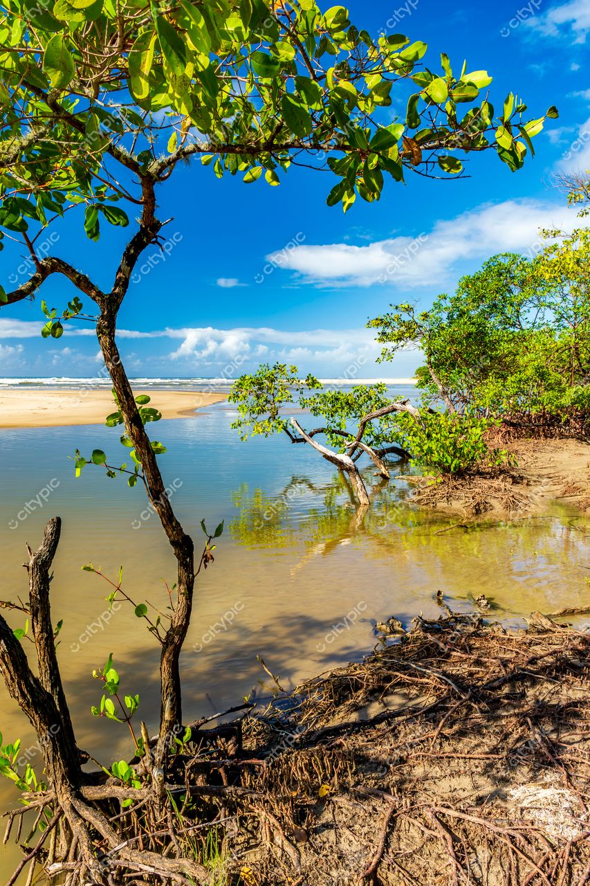 Uruçuca, Bahia: A serenidade do manguezal brasileiro