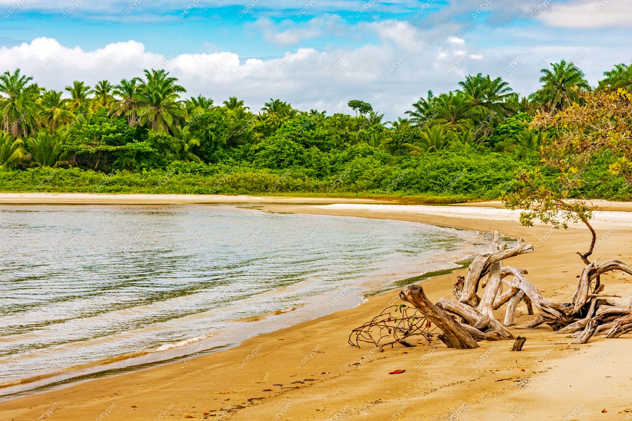 Uruçuca, Bahia: A serenidade da costa dourada
