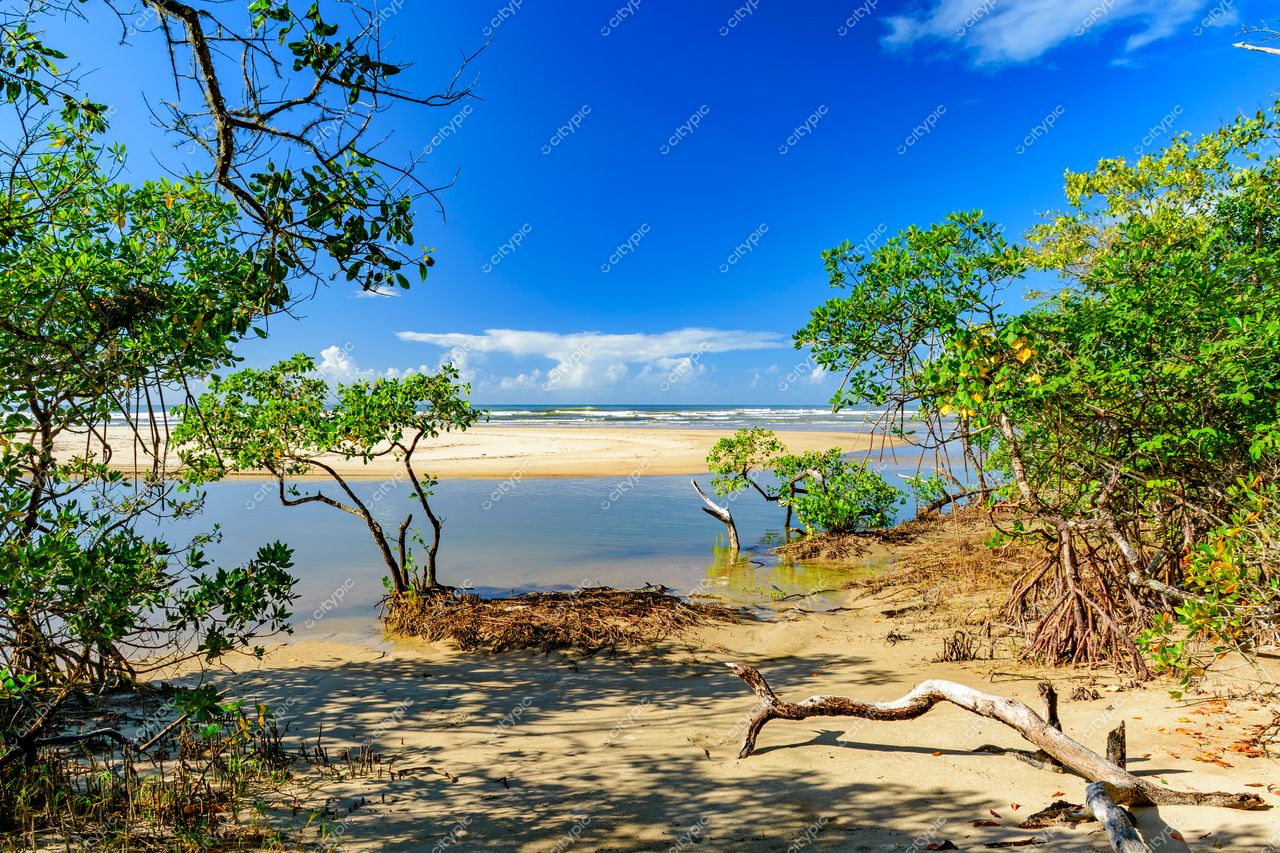 Uruçuca, Bahia: Pântano sereno na região costeira da beleza intocada