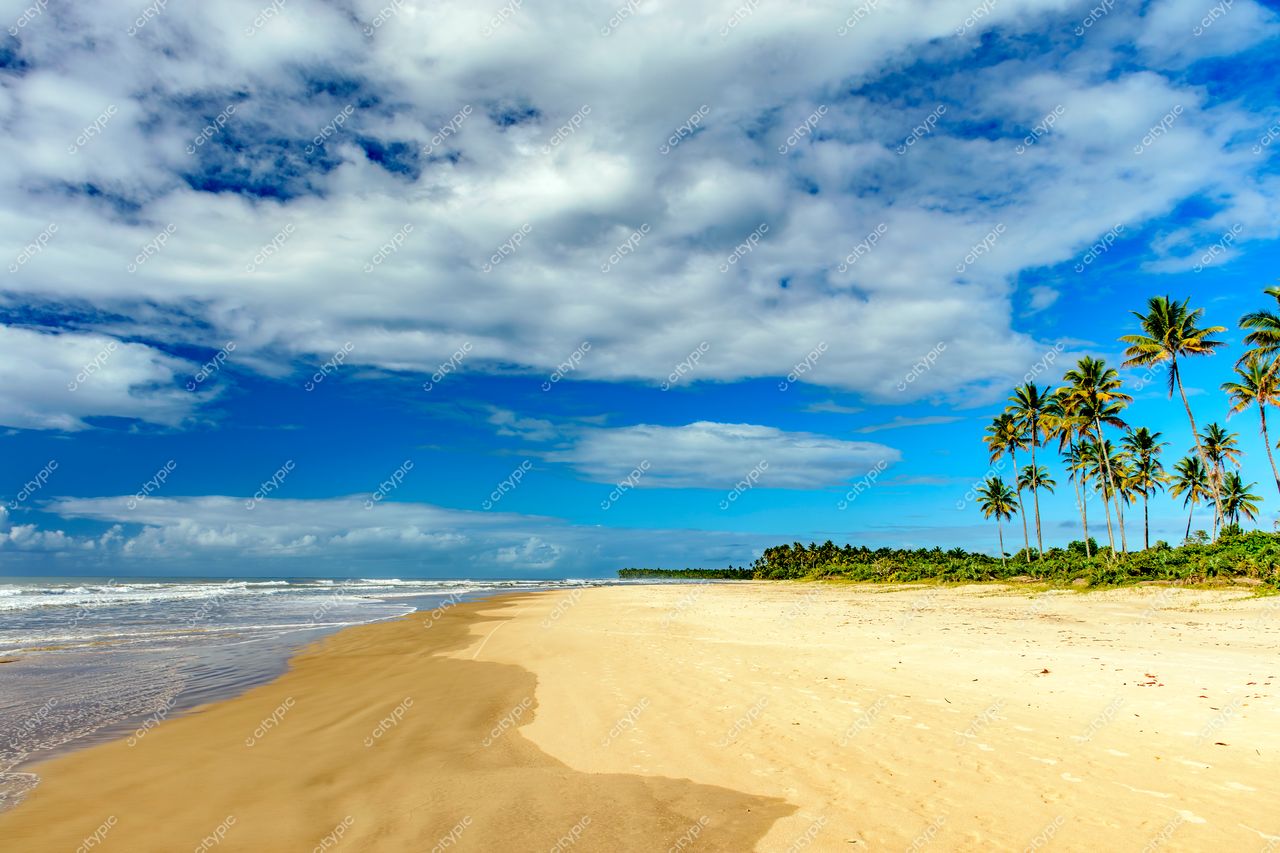 Uruçuca, Bahia: Praia paradisíaca com areias douradas e céu azul sereno