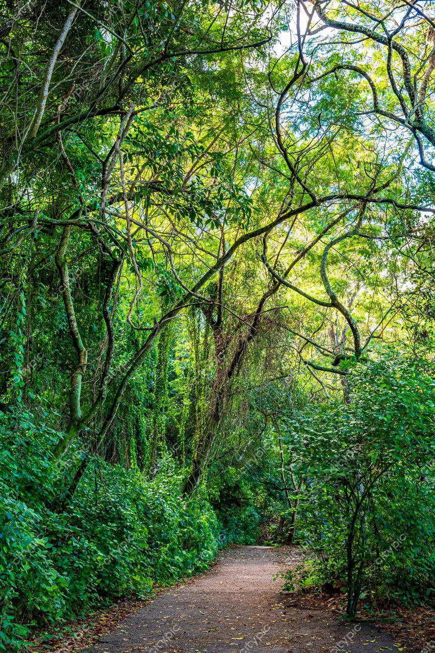 Urca, Rio de Janeiro: Caminho sereno em meio à natureza exuberante da Cidade Maravilhosa