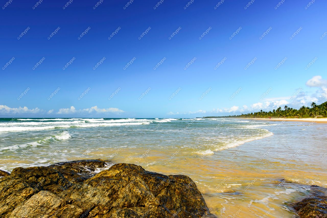 Uruçuca, Bahia: Cena paradisíaca de praia com palmeiras e rochas ao fundo