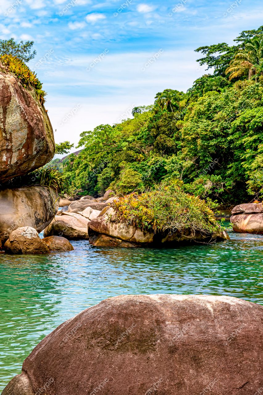 Trindade, Paraty: A serenidade das rochas e da selva no Rio de Janeiro