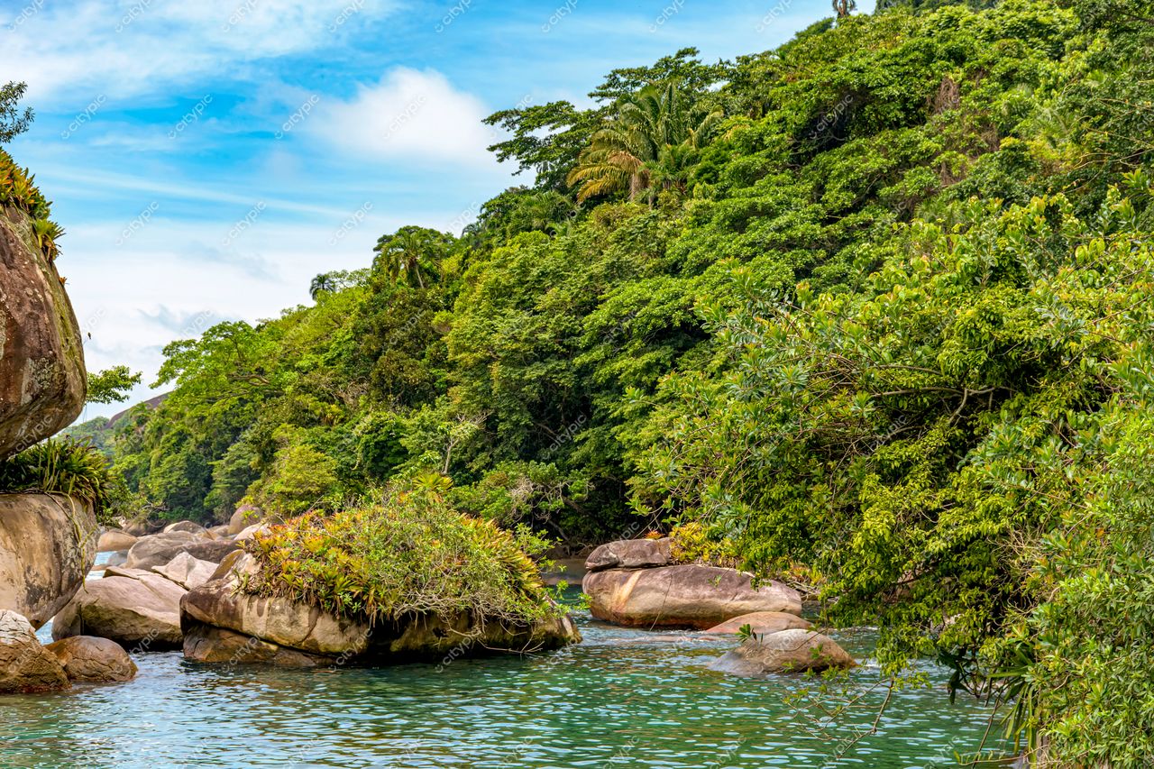 Trindade, Paraty, Rio de Janeiro: A harmonia entre a natureza intocada e a serenidade das águas