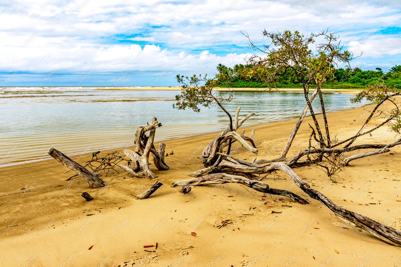 Uruçuca, Bahia: A serenidade da praia isolada