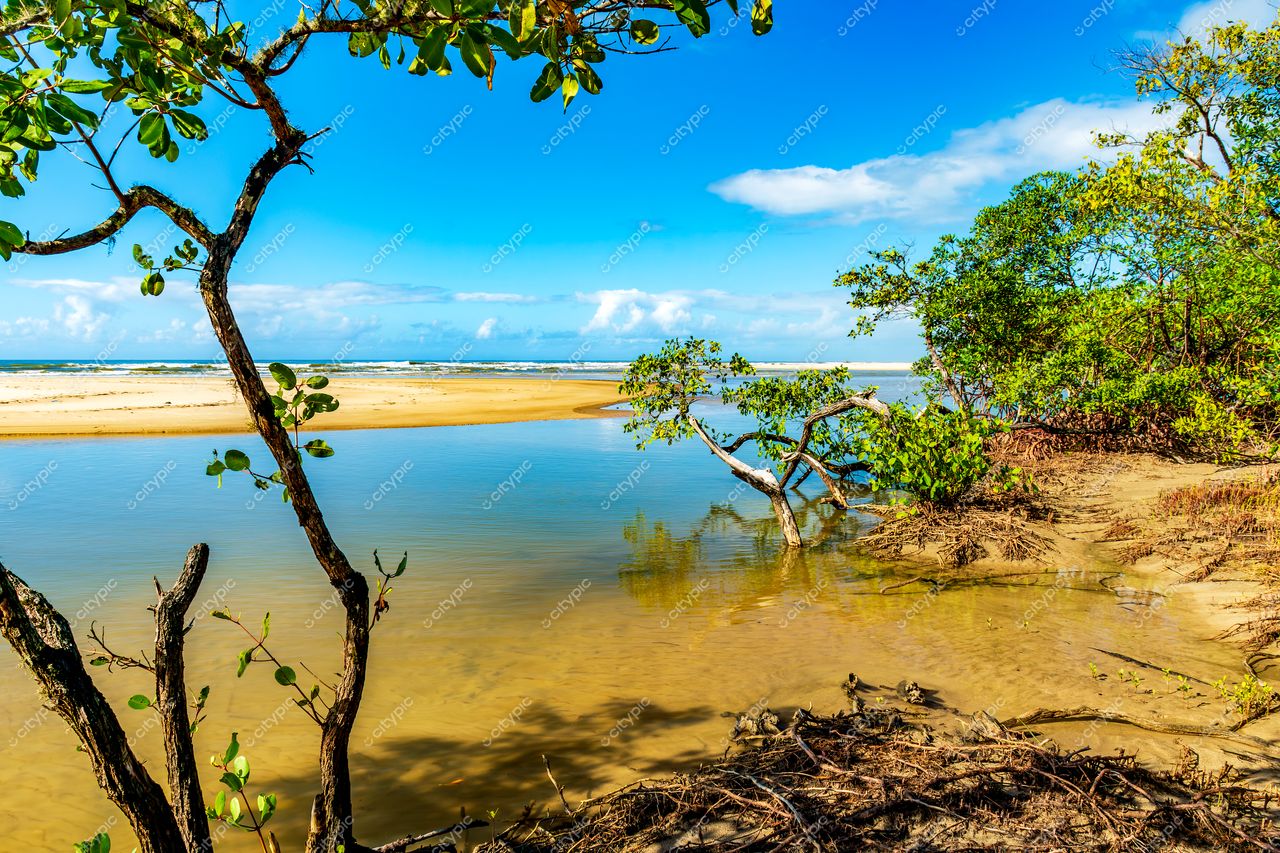 Uruçuca, Bahia: A serenidade do manguezal e a beleza natural da praia
