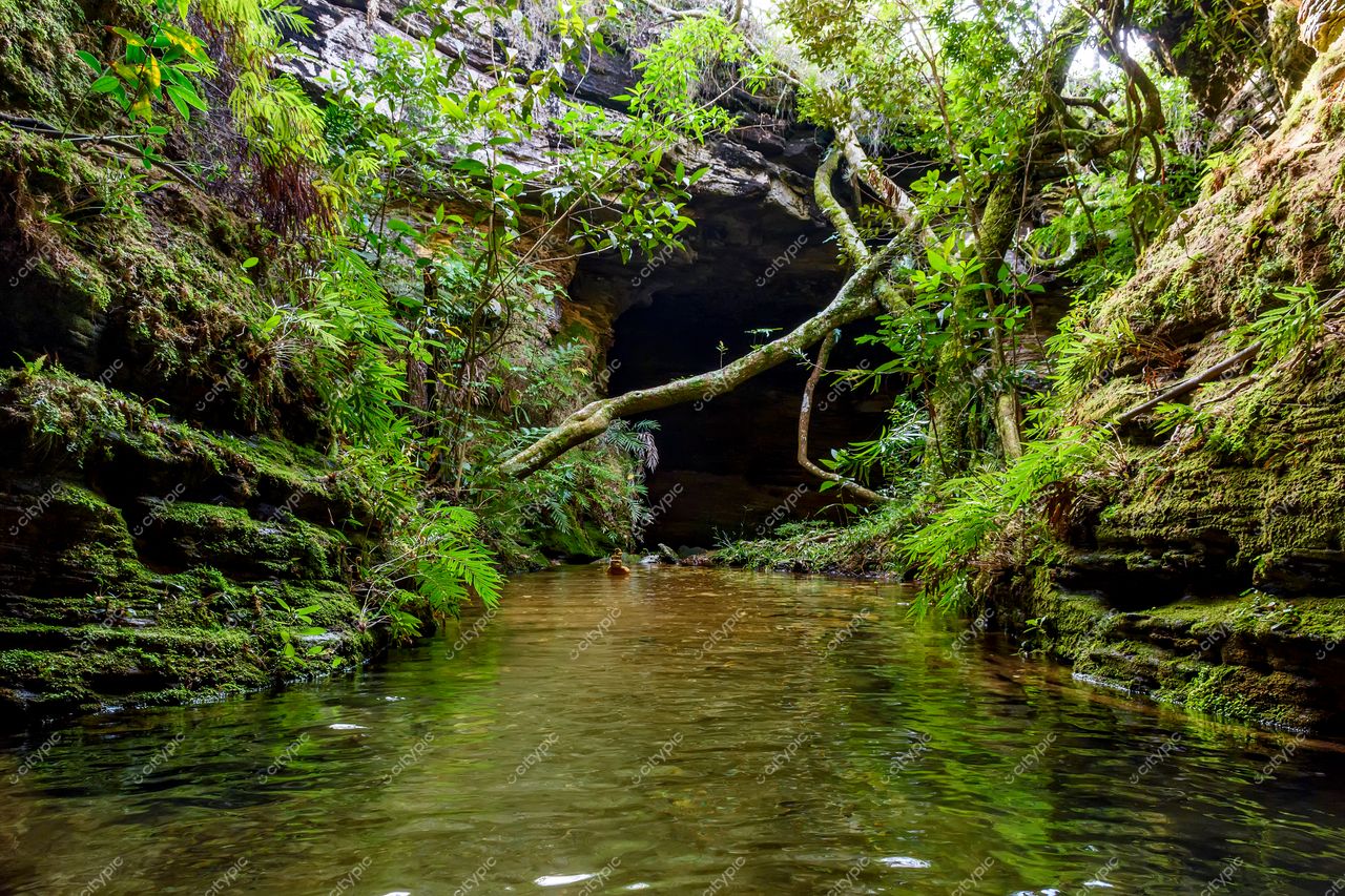 Carrancas, Minas Gerais: Caverna serena e exuberante com rio tranquilo