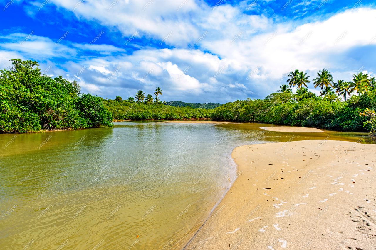 Uruçuca, Bahia: Rio serpenteando entre a exuberante vegetação tropical