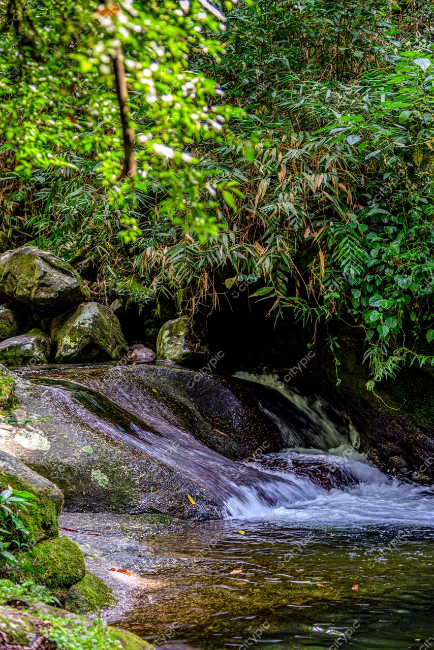 Itatiaia, Rio de Janeiro: Riacho sereno em meio à exuberante natureza da floresta