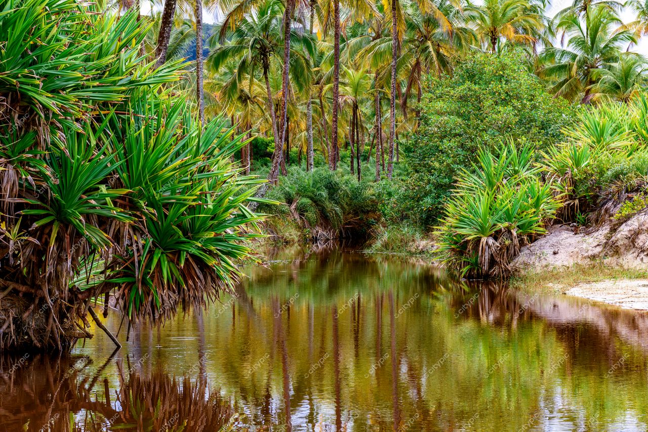Uruçuca, Bahia: Rio tranquilo e exuberante vegetação tropical