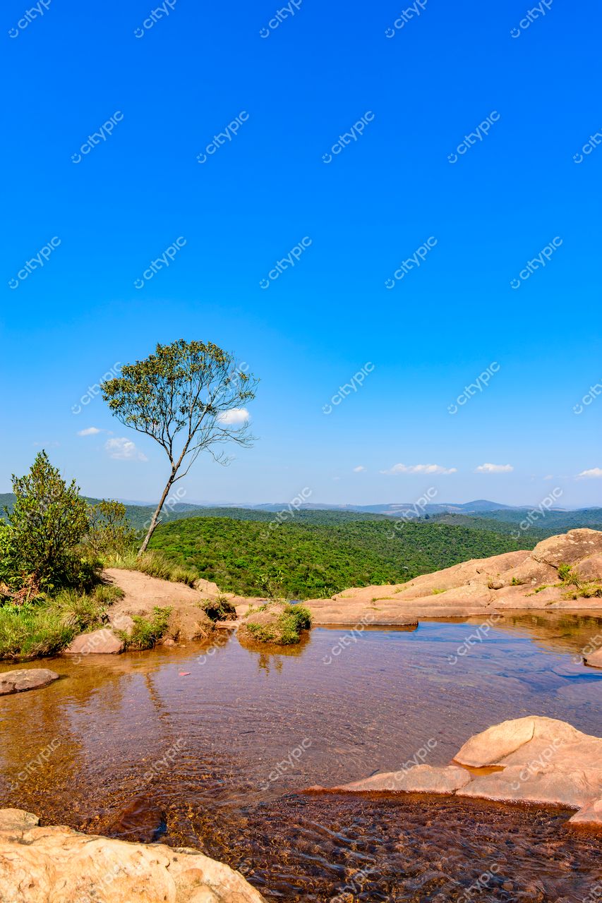 Reflexos da Natureza: Um Retrato de Serenidade e Beleza Natural