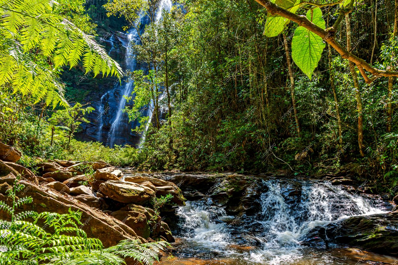 Oásis de Serenidade: A Beleza Intocada da Natureza Tropical