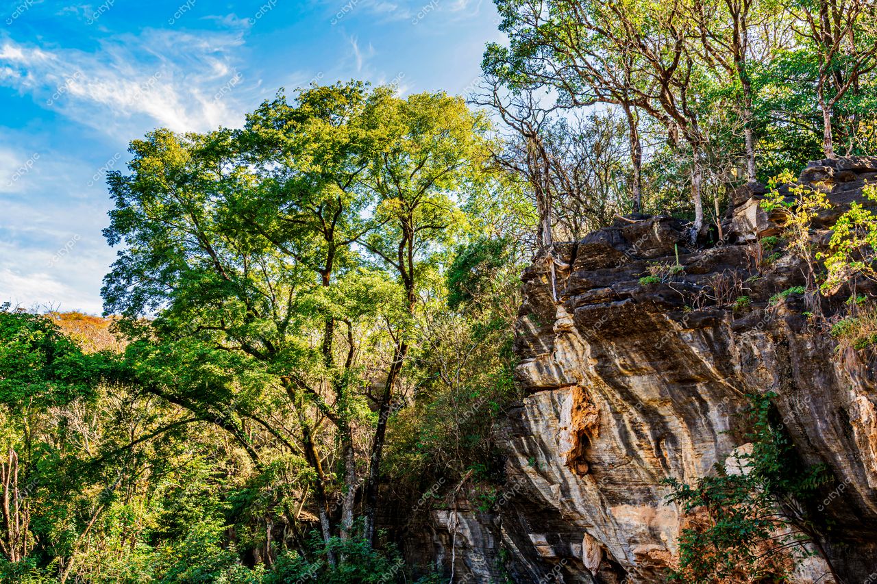 Lagoa Santa, Minas Gerais: Harmonia entre rochas e vegetação em uma paisagem serena