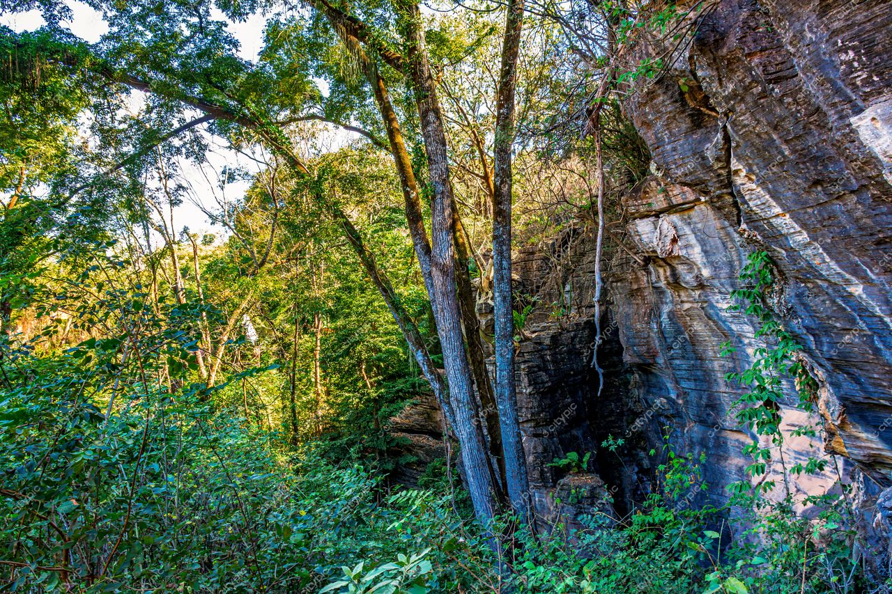 Lagoa Santa, Minas Gerais: A exuberância da vegetação nativa em meio às formações geológicas