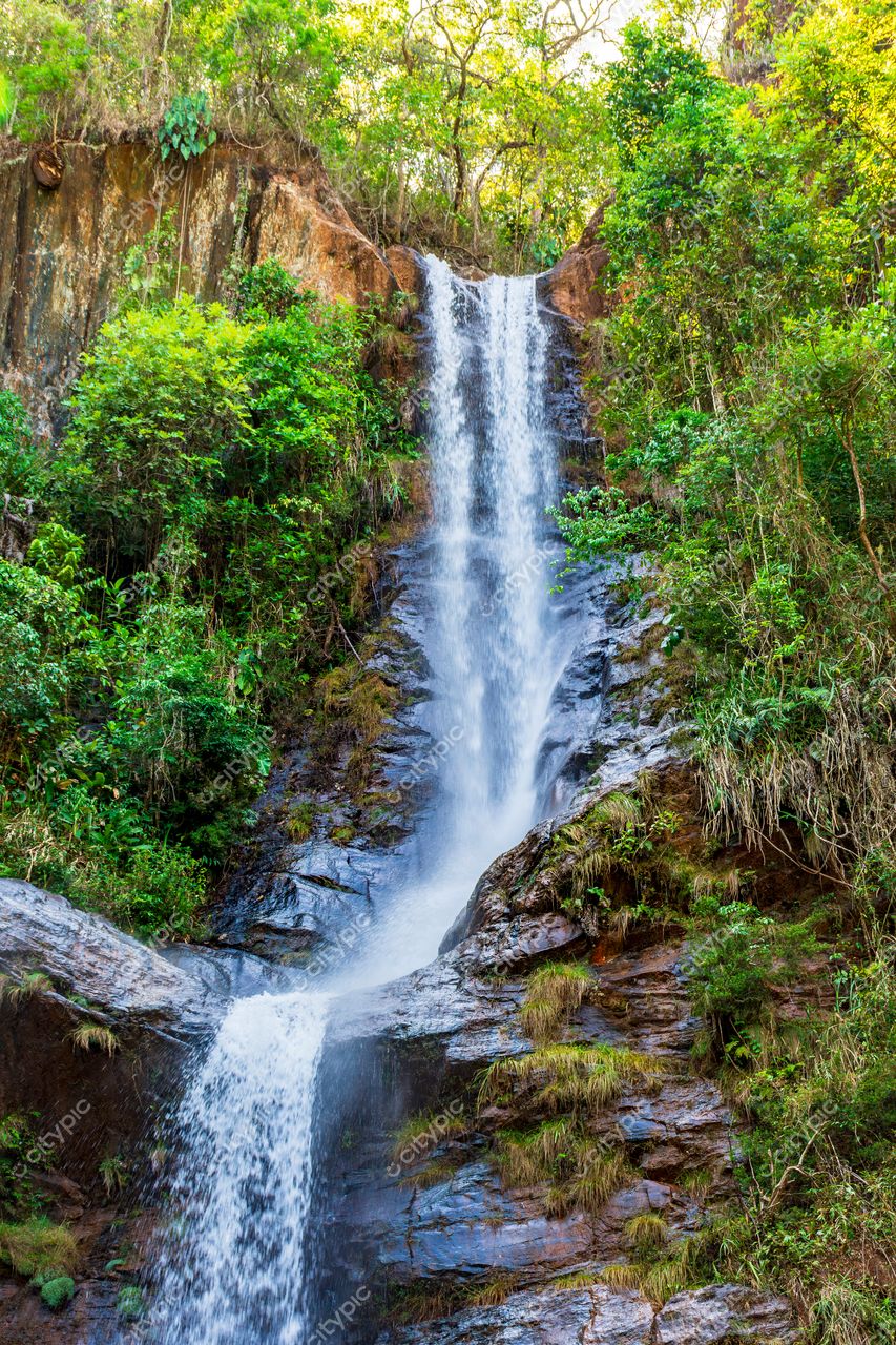 Oásis de Serenidade: A Deslumbrante Cachoeira entre a Vegetação Verde