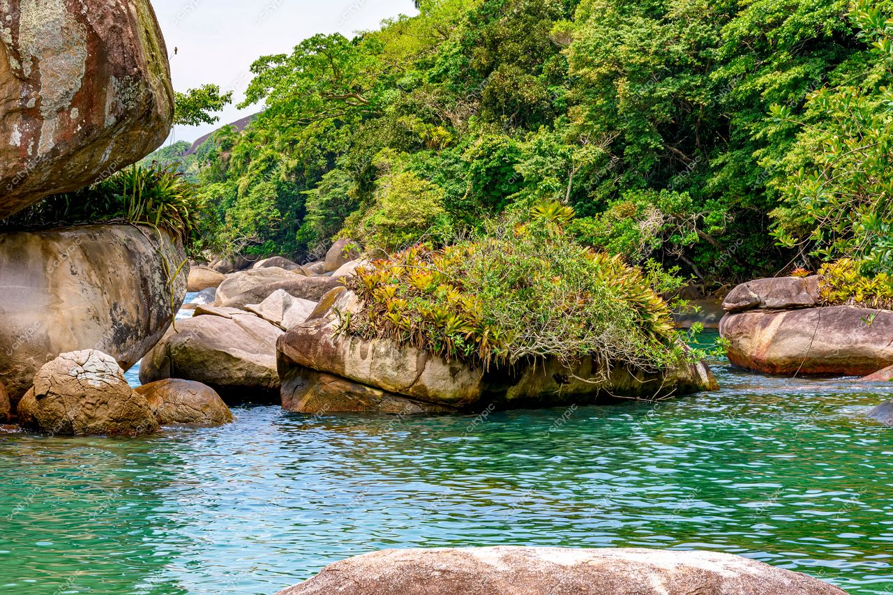 Trindade, Paraty: A serenidade da natureza intocada no Rio de Janeiro, Brasil