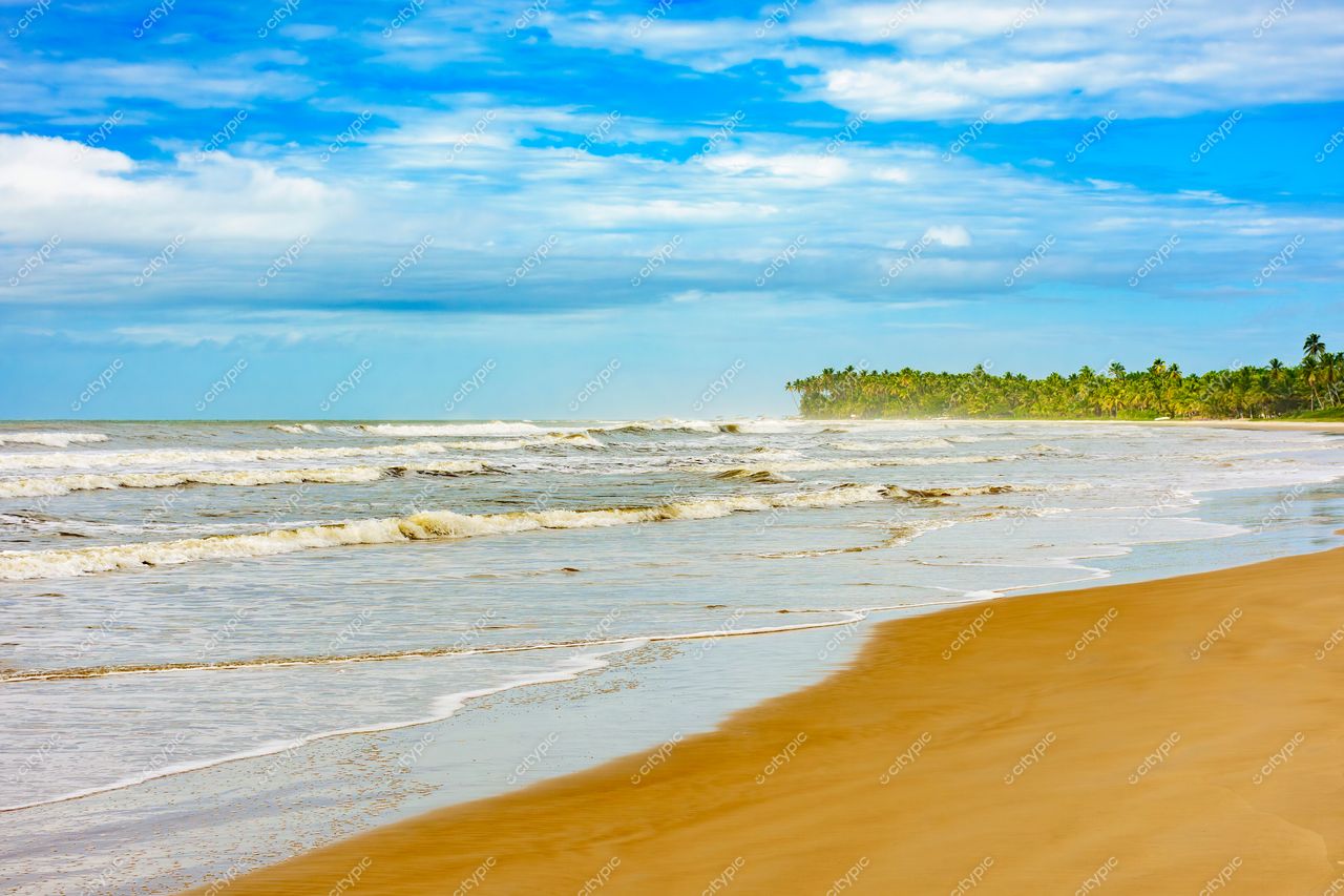 Uruçuca, Bahia: A serenidade da praia dourada e das palmeiras tropicais