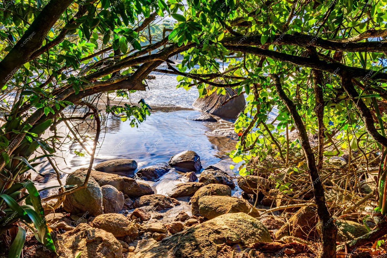 Riacho sereno em meio à exuberante natureza de Ilhabela, São Paulo, Brasil