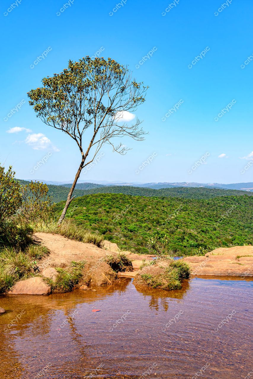 Refúgio Natural: A serenidade de um cenário tranquilo