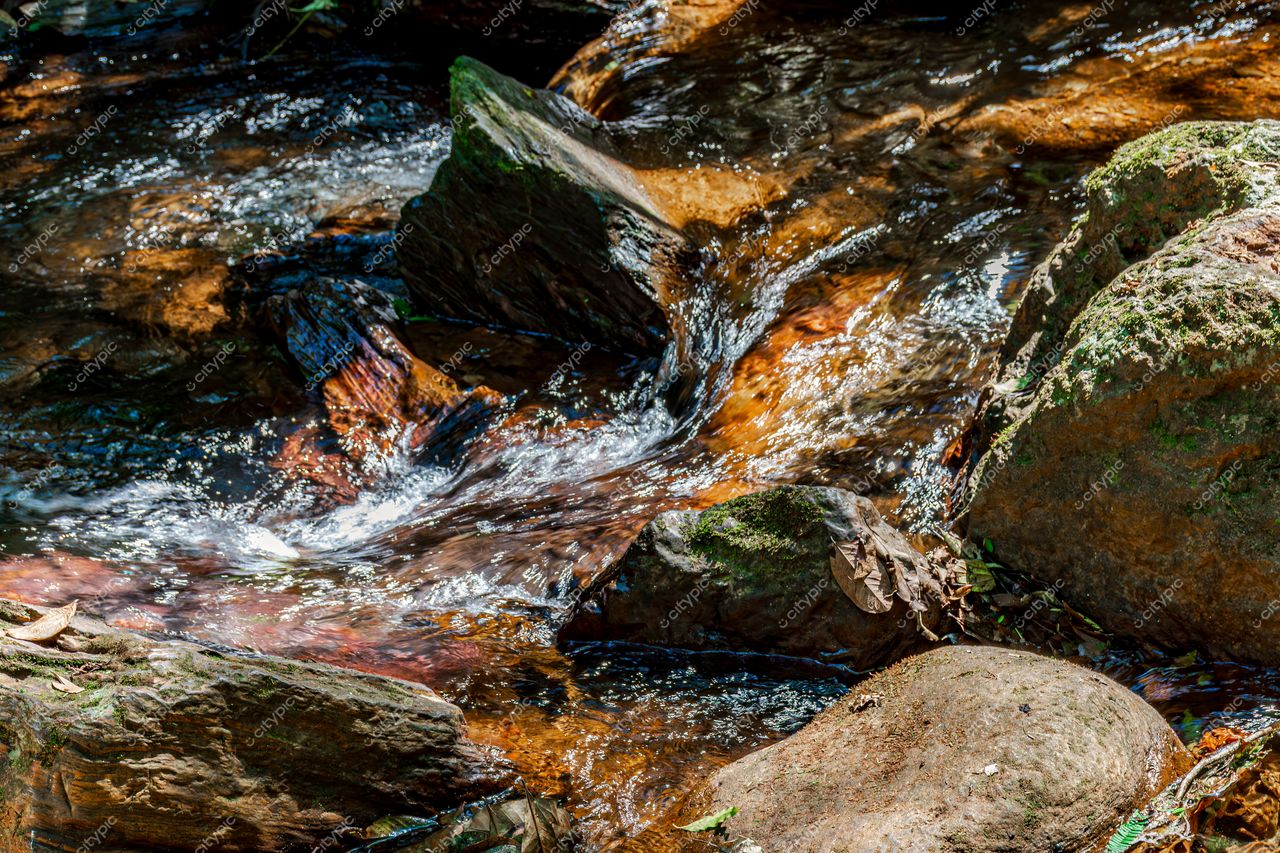 Riacho de Tranquilidade: A Beleza Natural que Inspira Paz e Harmonia