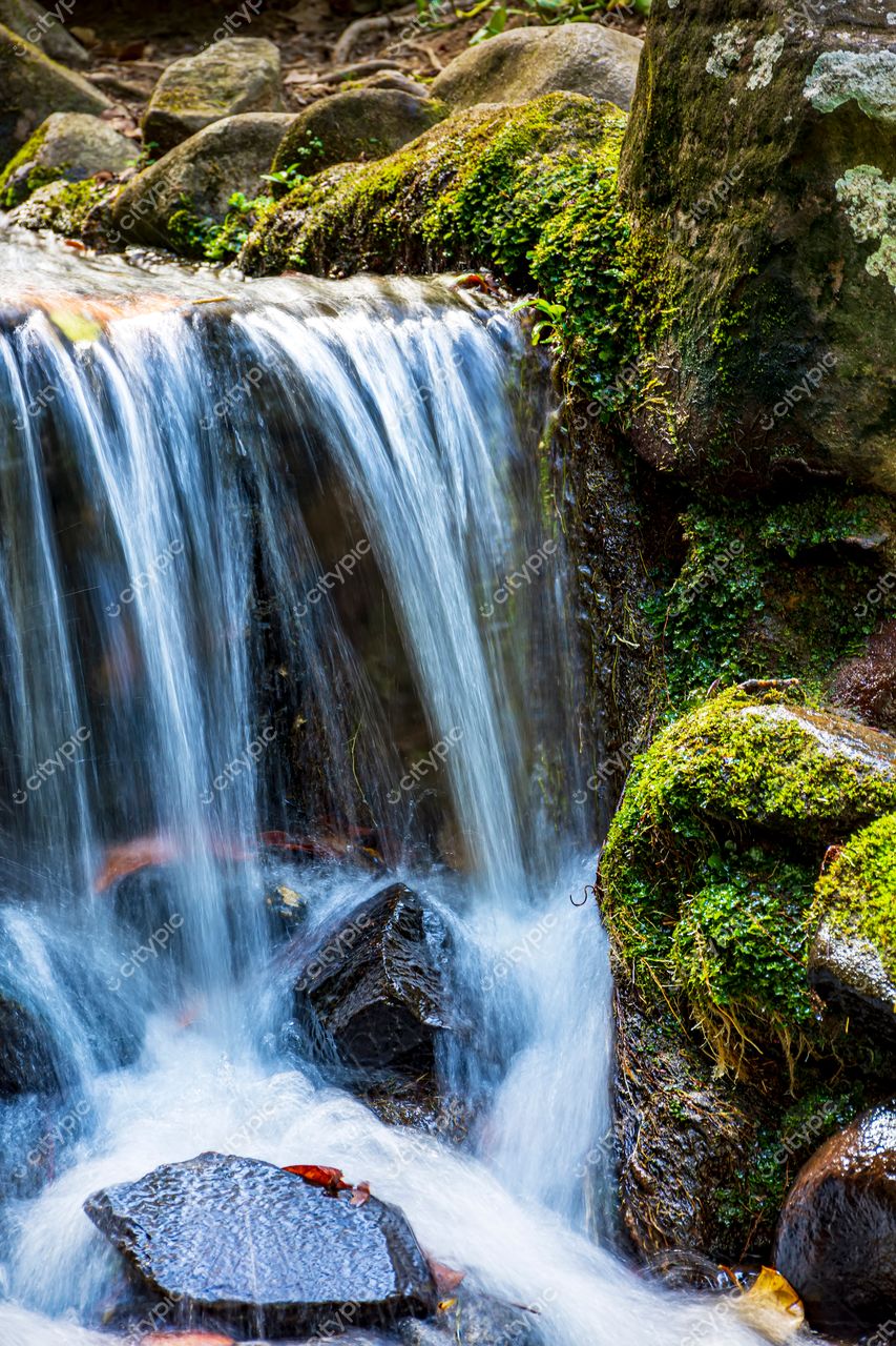 Tranquilidade em tons de seda: a beleza da cachoeira na natureza
