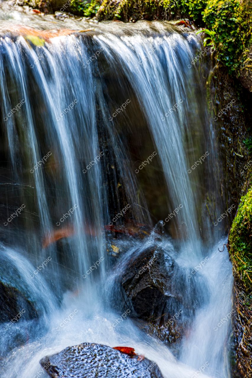 Harmonia Natural: A Beleza Serena de uma Cachoeira