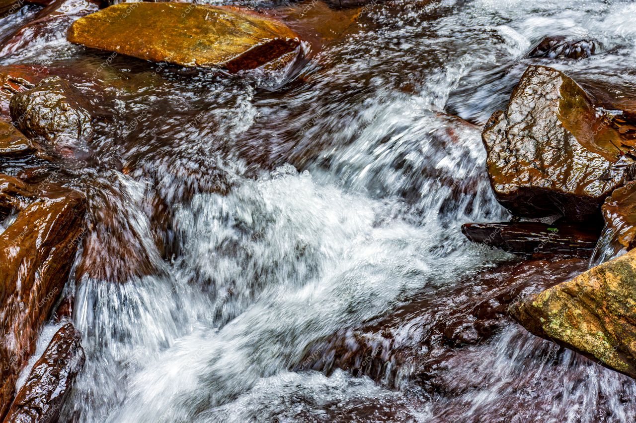 Fluxo de água cristalina: a beleza serena da natureza