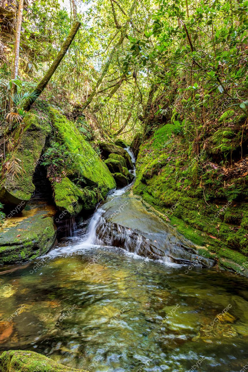 Carrancas, Minas Gerais: Cenário Natural de Serenidade e Beleza Intocada
