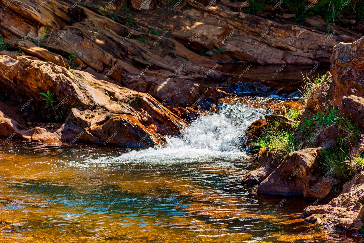 Tranquilidade natural: o sereno cenário de um córrego