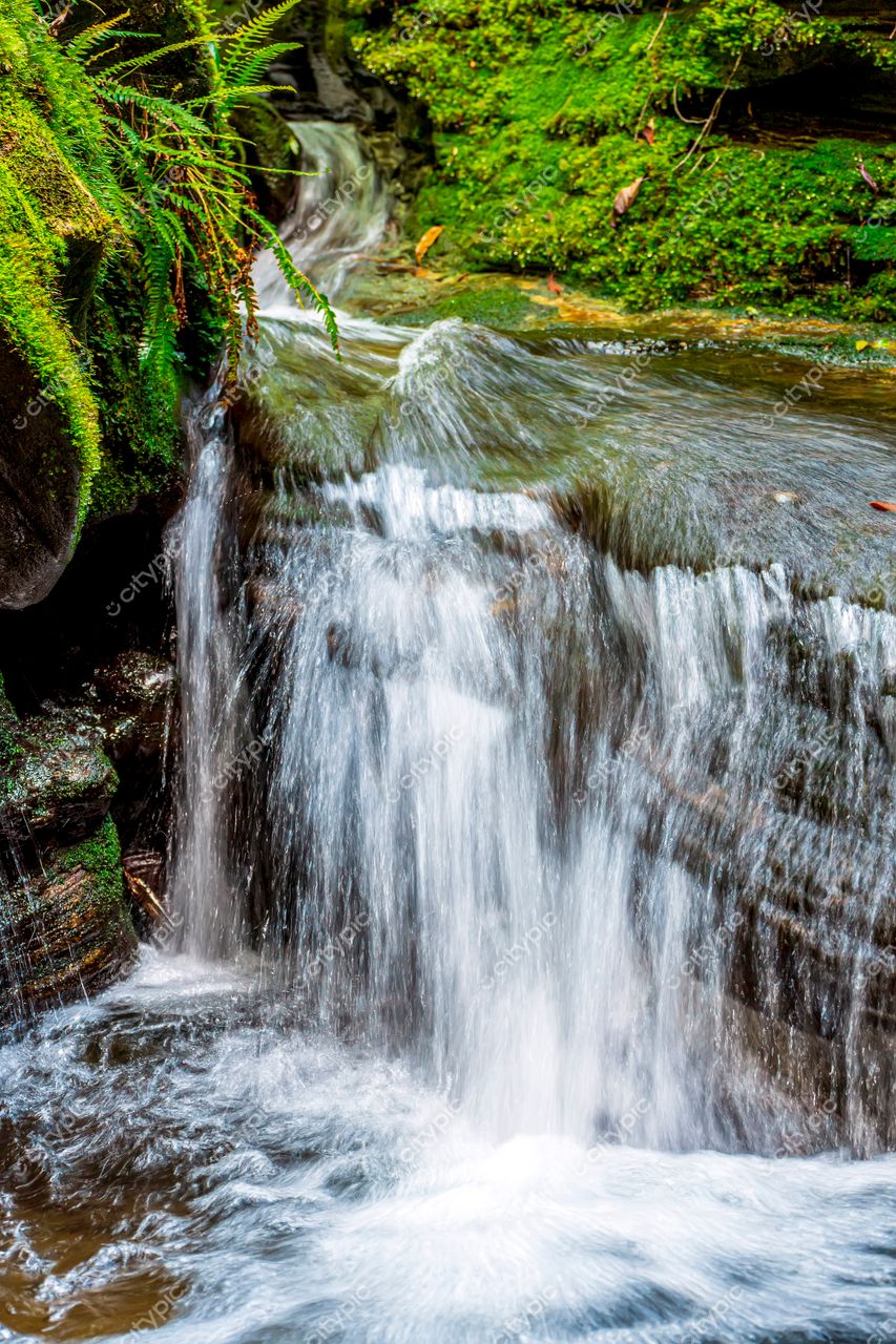 Carrancas, Minas Gerais: A Serenidade da Cascata com Águas Cristalinas e Vegetação Exuberante