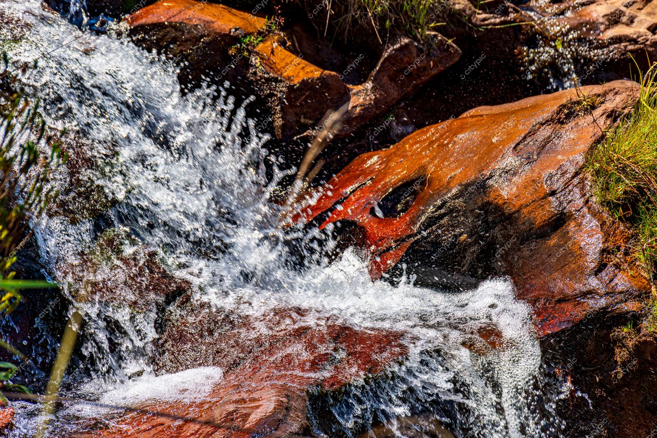 Riacho Vibrante: A Beleza Natural em Movimento