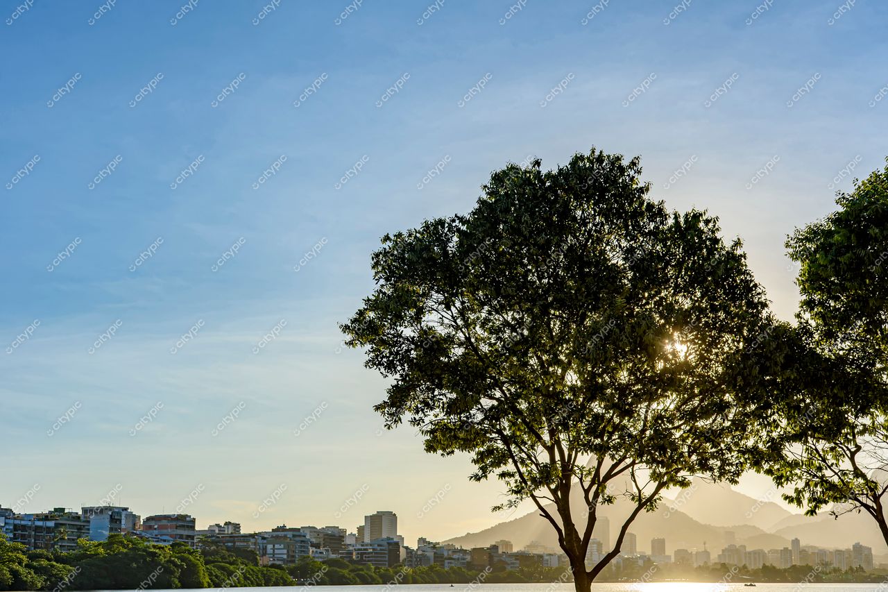 Lagoa no Rio de Janeiro: Vista encantadora em um dia ensolarado