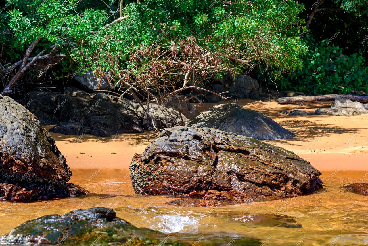 Ilha Grande, Angra dos Reis: Oásis Tropical para Amantes da Natureza e Aventuras ao Ar Livro