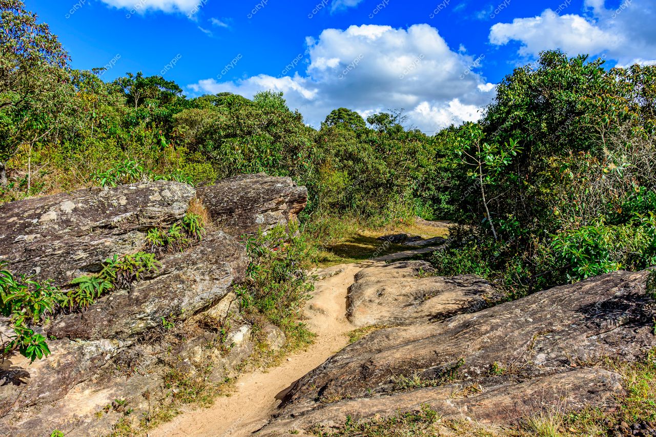 Trilha da Aventura: Explorando a Natureza Selvagem
