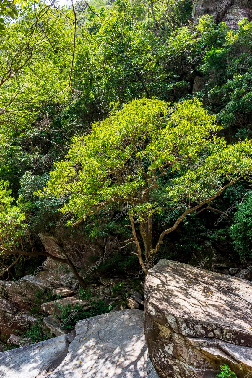 Santana do Riacho, Minas Gerais: A exuberância da natureza em tons de verde