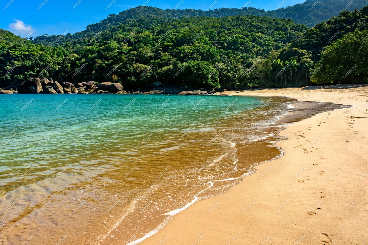 Praia Tranquila em Ilhabela: Um Refúgio Natural para Relaxar