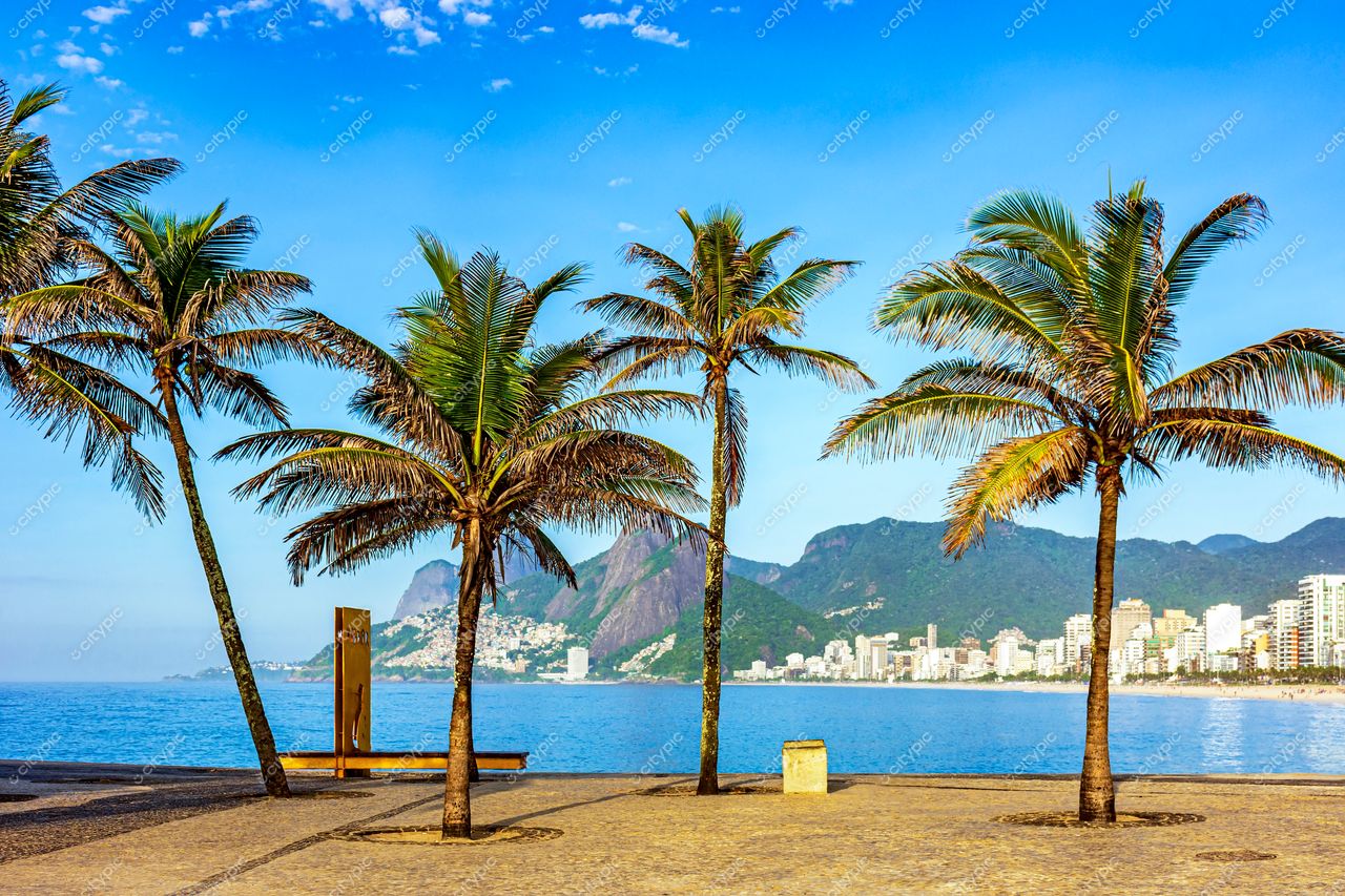 Ipanema, Rio de Janeiro: Vista exuberante da famosa praia carioca sob o céu azul e palmeiras ao vento