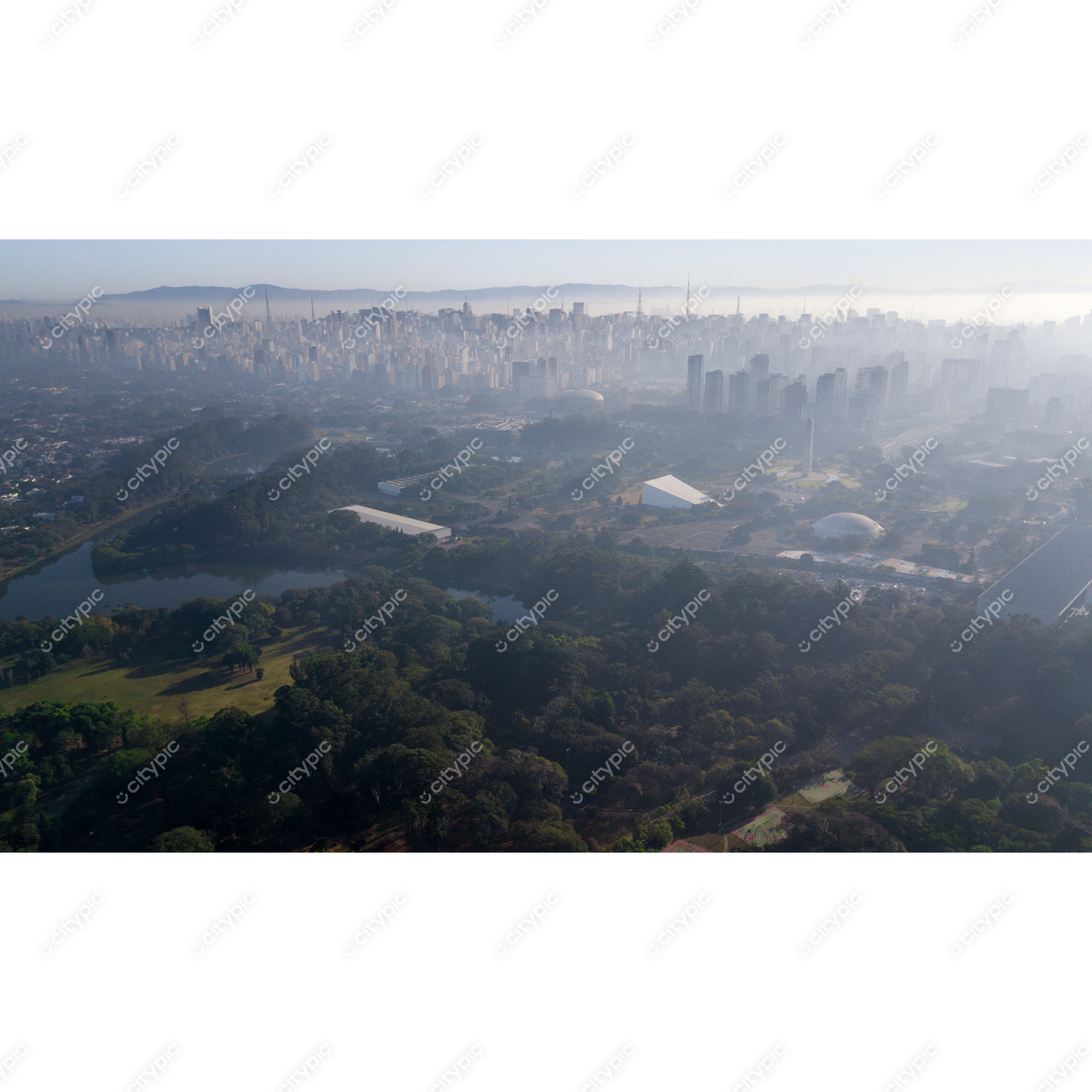 São Paulo em Neblina: Harmonia entre Natureza e Urbanização