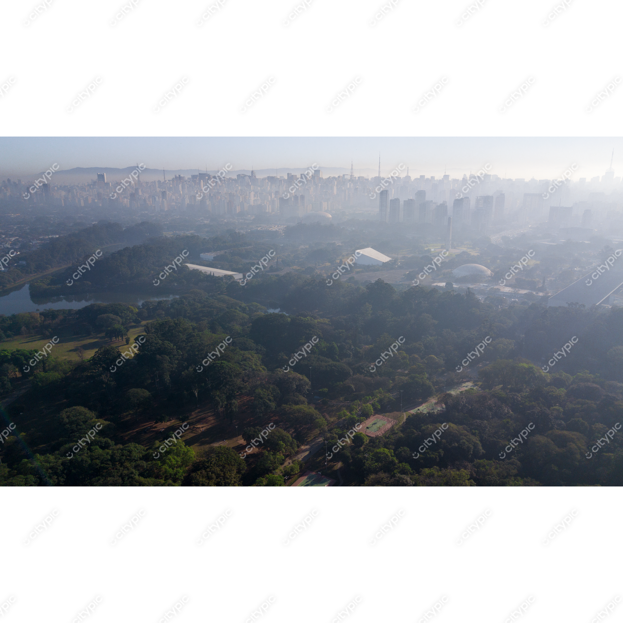 São Paulo: O Contraste entre Natureza e Urbanização