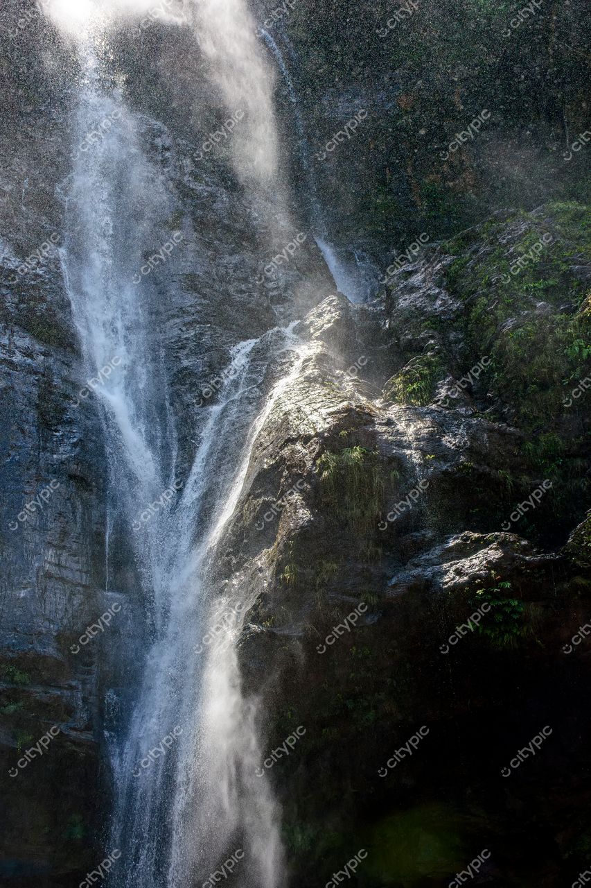 O esplendor da natureza: a majestosa queda d’água em meio à exuberância natural